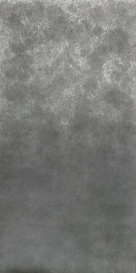 Nn 003