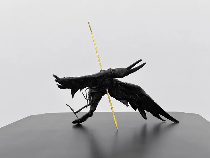 Yl 010